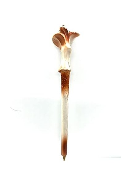 Harry Potter Asa Kalemi, Hermonie Voldemort, Dumbledore Asa Kalemleri, Harry Asası Tükenmez Kalem (Voldemort Kalem) fiyatları