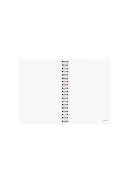 Color Noktalı Bullet Journal Pro Defter Rose Gold 17X24 fiyatları