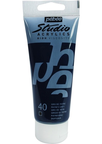 Studio Akrilik Boya - Payne's Grey - 100ML - N:40 modelleri