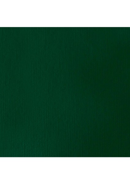Professional Heavy Body Akrilik Boya 59ML Viridian Hue Permanent 398 S1 fiyatları