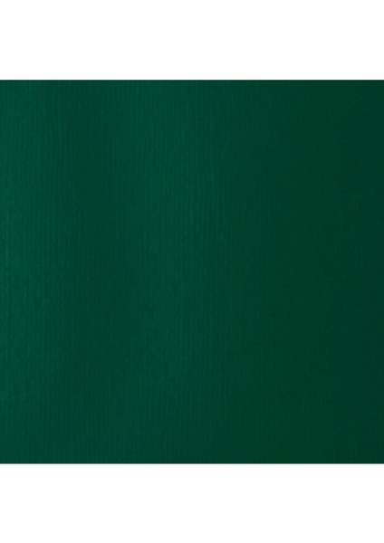 Professional Heavy Body Akrilik Boya 59ML Muted Green 501 S3 fiyatları
