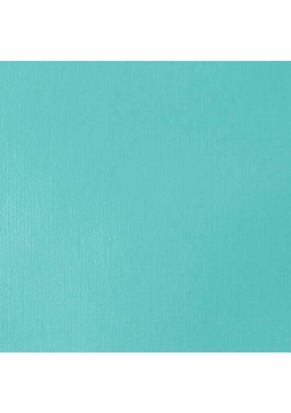 Professional Heavy Body Akrilik Boya 59ML Light Blue Permanent 770 S1 fiyatları