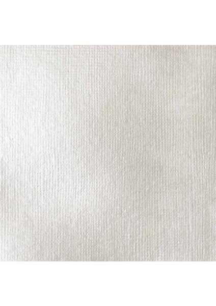 : Professional Heavy Body : Akrilik Boya : 59 ml : Iridescent White 238 S2 fiyatları