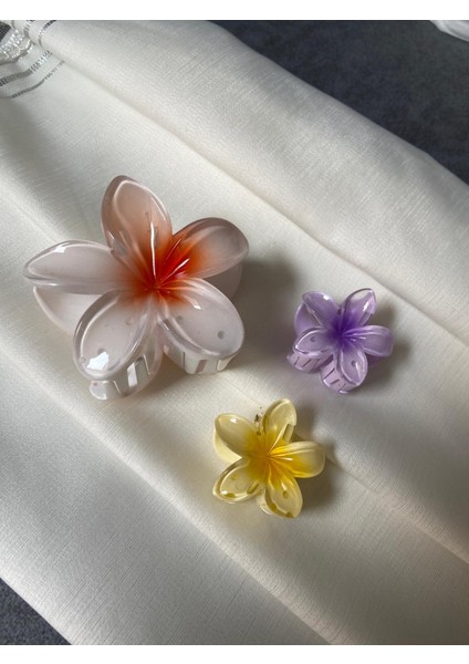 Lotus Toka 3 Lü Set Şık Renk ve Model
