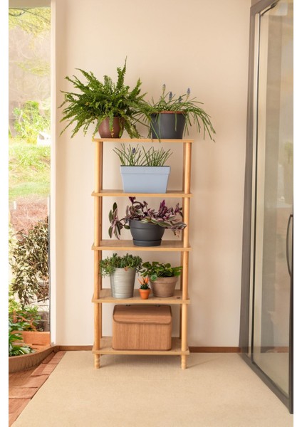 Concept 4 Raflı Organizer Mutfak Dolabı Kitaplık Banyo Balkon Ofis Düzenleyici Ahşap Nature fiyatları