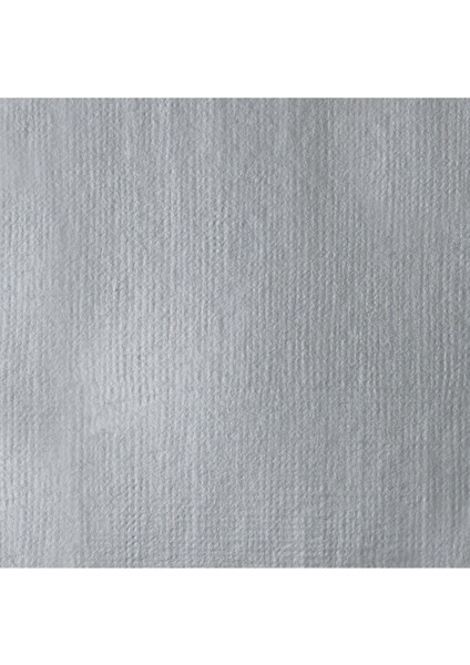 Professional Akrilik Guaj Boya 59ML - Iridescent Bright Silver 236 S1