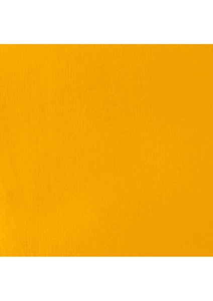 : Professional Heavy Body : Akrilik Boya : 59 ml : Cadmium Yellow Medium 161 S3