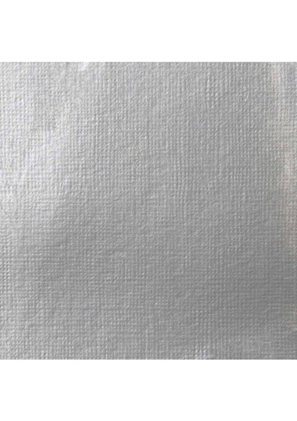 Professional Heavy Body : Akrilik Boya : 59 ml : Iridescent Bright Silver 236 S2
