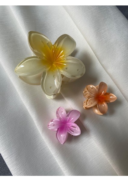 Lotus Toka 3 Lü Set Şık Renk ve Model Sarı-Oranj-Pembe