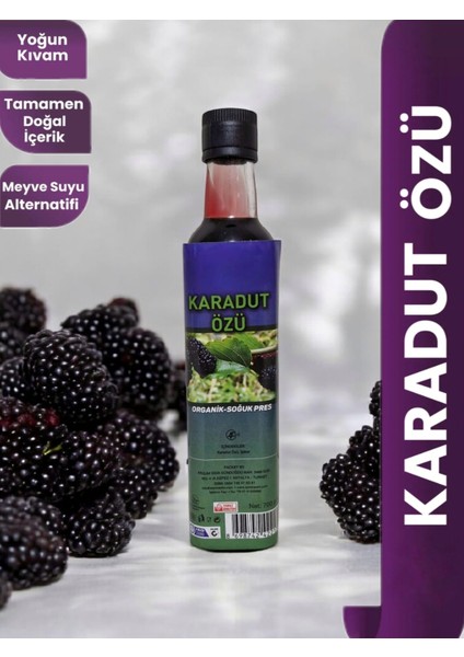 Doğal Karadut Özü Konsantre 700 gr
