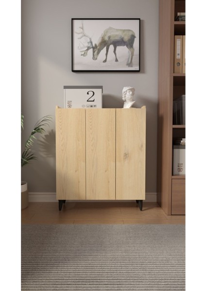 Iliana 3 Kapaklı 4 Raflı Çok Amaçlı Dolap, Banyo Dolabı, Mutfak Dolabı Rivoli modelleri