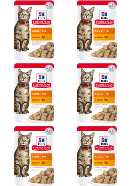 Pouch Tavuklu Yetişkin Kedi Konservesi 85GR - 6 Adet