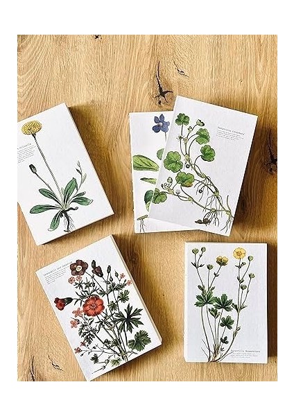 Tanıtım Özel Tasarım Kapaklı A5 Çizgisiz Defter - 180 Derece Açılabilir, Sırtı DIKIŞLI,%100 El Işçiliği, Ofis Için Ideal, Planlayıcı (Cranesbill And Geranium Kapak Tasarımı)