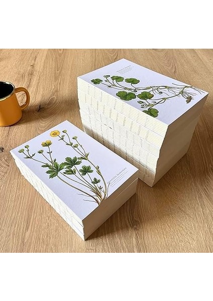 Tanıtım Özel Tasarım Kapaklı A5 Çizgisiz Defter - 180 Derece Açılabilir, Sırtı DIKIŞLI,%100 El Işçiliği, Ofis Için Ideal, Planlayıcı (Cranesbill And Geranium Kapak Tasarımı)