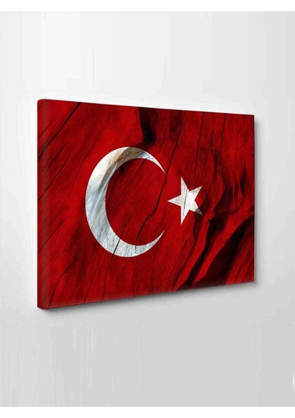 Türk Bayrağı (Ay Yıldız)-Led-Işıklı Seri
