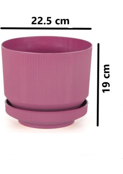 SO-S283 Dekoratif Tabaklı Lüks Çizgi Desenli Saksı 6 Litre