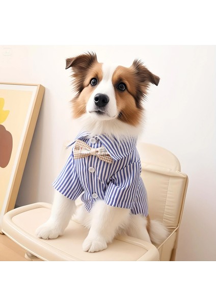 Kedi ve Köpek Için Papyonlu ve Çizgili Gömlek modelleri