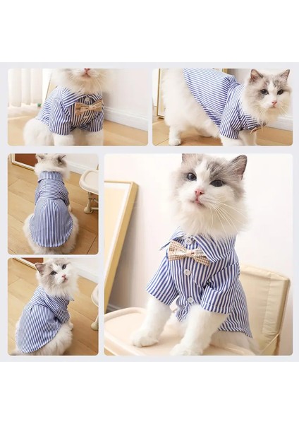 Kedi ve Köpek Için Papyonlu ve Çizgili Gömlek fırsatları