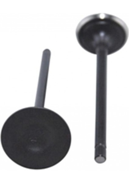 Çin Cg 125 Emme Egzoz Sübap Takımı Rmg