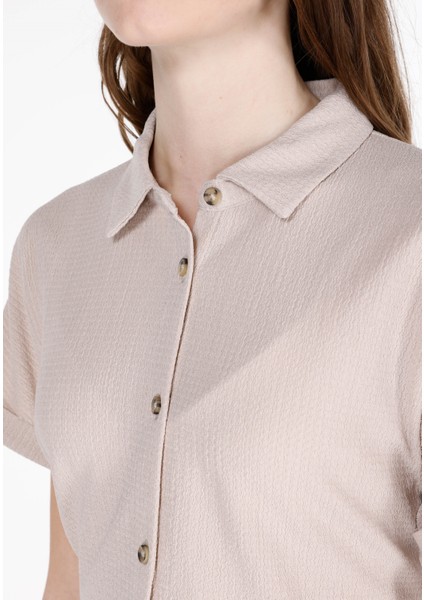 Regular Fit Shirt Neck Jakarlı Kadın Bej Kısa Kol Tişört fırsatları