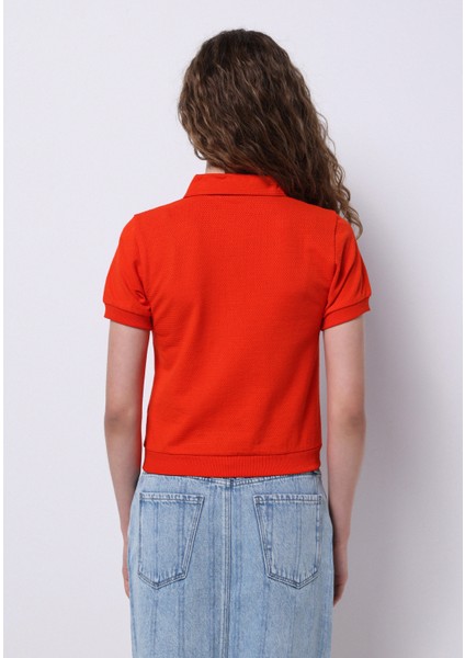Slim Fit Polo Yaka Düz Kadın Kirmizi Kısa Kol Tişört fiyatları