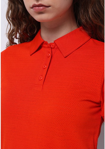 Slim Fit Polo Yaka Düz Kadın Kirmizi Kısa Kol Tişört fırsatları