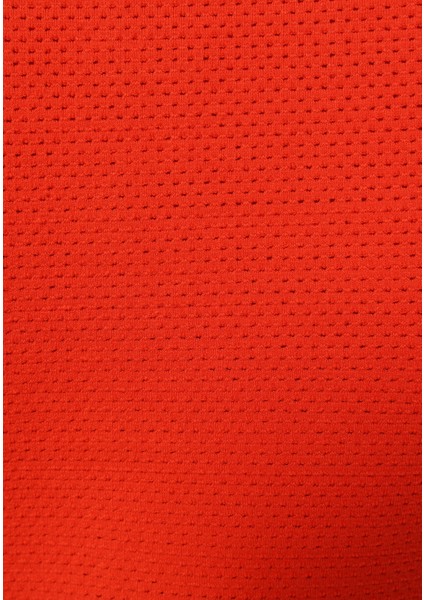 Slim Fit Polo Yaka Düz Kadın Kirmizi Kısa Kol Tişört indirimleri
