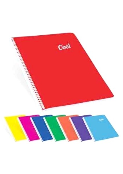 Cool 60 Yaprak Kareli A4 Defter Pp Kapak Spiralli Karışık - 4 Adet