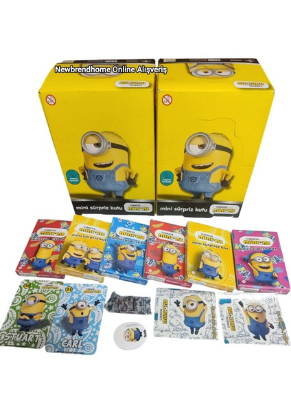 Mini Sürpriz Kutular (6 Adet Mini Sürpriz Kutuları) Minions Oyun Karakter Kartları ve Sticker