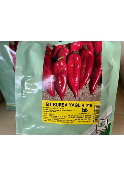 Sarı Biber