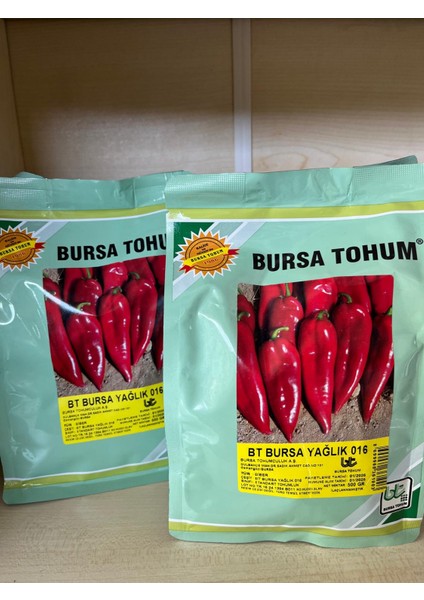 Sarı Biber