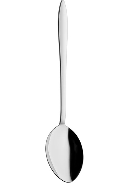 Ares Servis Kaşığı