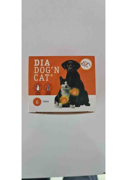 Dıa Dog 'n Cat