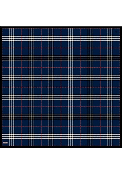 Saf Ipek Eşarp 4122D( Twill Ipek) -3752