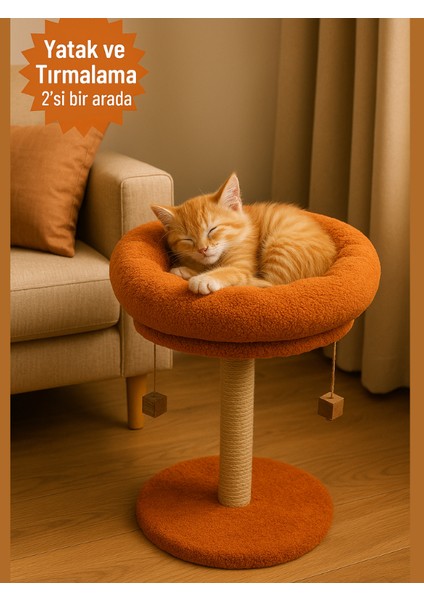 2 Si 1 Arada | Kedi Tırmalama Tahtalı ve Yuvarlak Kedi Yatağı | Yumuşacık Dolgulu Boncul Elyaf, 40 cm Yatak, 55 cm Uzunluk |en Çok Tercih Edilen