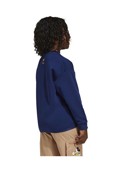 Lk Dy mm Swt Çocuk Günlük Sweatshirts JD4550 Mavi fırsatları