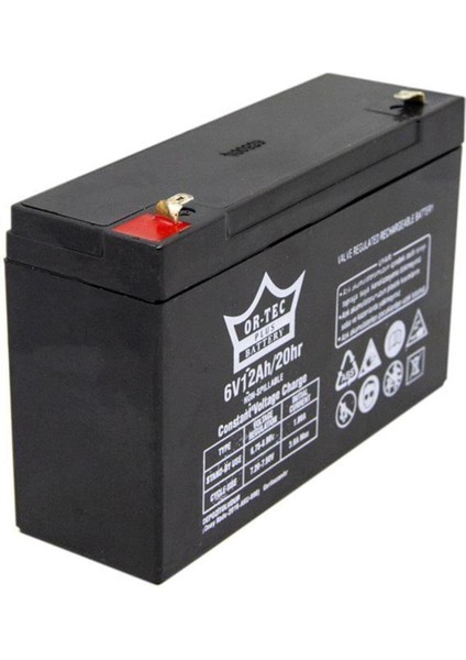 6 Volt 12 Amper Oyuncak Akülü Araba Için Akü ve Şarj Aleti