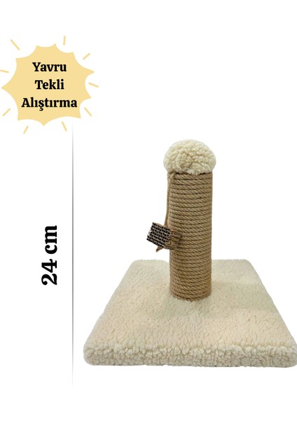 Yavru Kedi Alıştırma Tahtası Tırmalama 24 cm Krem Renk – Tekli ve Kompakt Tasarım, Yavruları Alıştırmak Için, Ideal Boy, modelleri