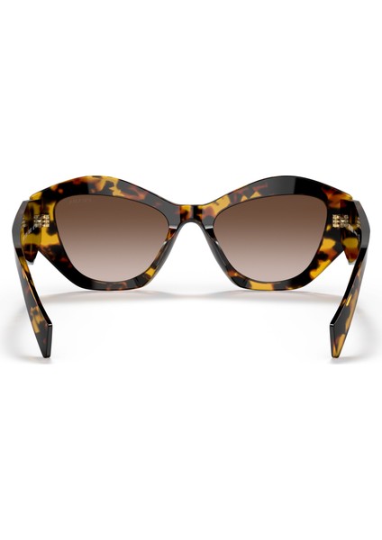 0PR 07YS VAU6S1 53 modelleri