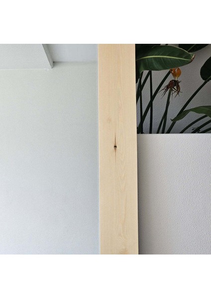 200 x 120 cm Ağaç Çerçeveli Boy Ayna - Doğal Ağaç Çerçeveli Dev Boy Aynası - Büyük Boy Ayna - Natural fiyatları