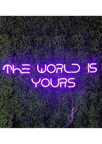 60 cm Kumandalı Neon LED Tasarım Duvar Dekor Aydınlatması - Özelleştirilebilir LED Tabela-81