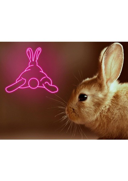 120 cm Kumandalı Neon LED Tasarım Duvar Dekor Aydınlatması - Özelleştirilebilir LED TABELA-181