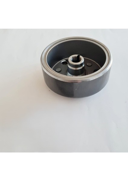 8li Mıknatıslı Volant Rotor Manyeto - Cg Agk Çita Motosiklet