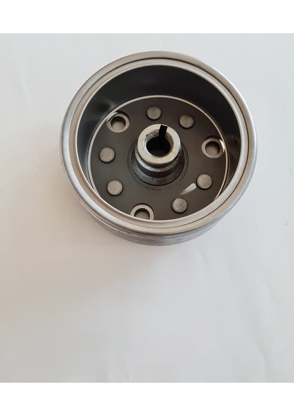 8li Mıknatıslı Volant Rotor Manyeto - Cg Agk Çita Motosiklet