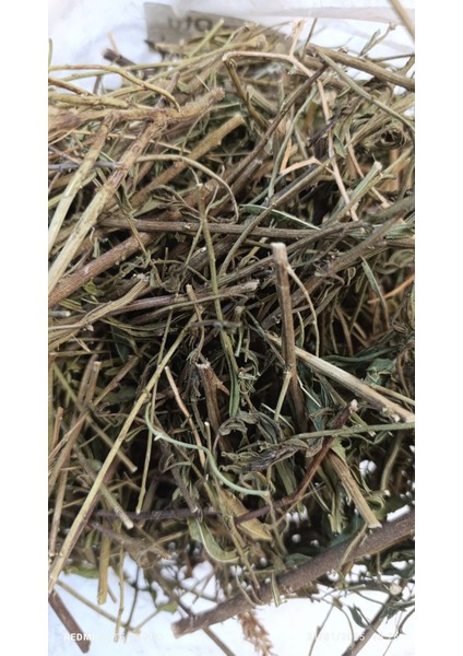 Andız Otu 30 gr