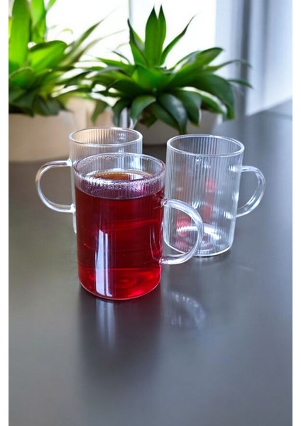3’lü 200 ml Borosilikat Cam Kupa Seti Çizgili Tasarım