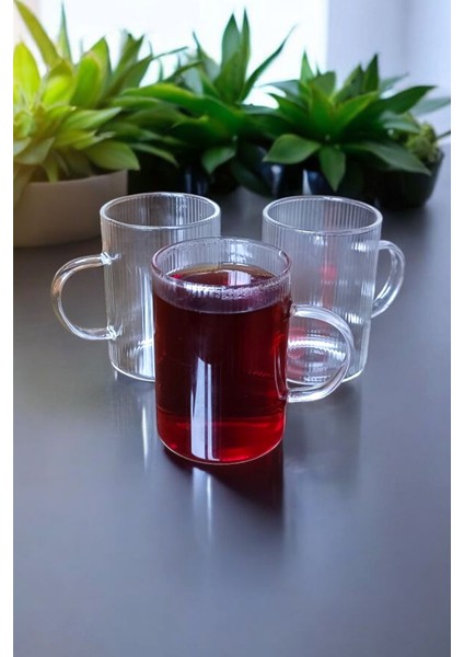3’lü 200 ml Borosilikat Cam Kupa Seti Çizgili Tasarım fiyatları