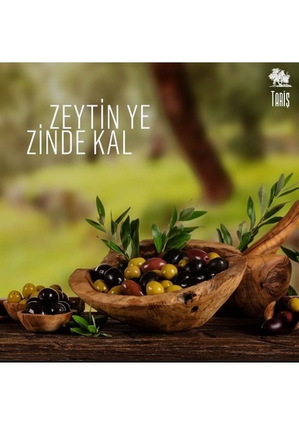 yeni Mahsül Özel Seri Güney Ege Natürel Sızma Zeytinyağı 10 Lt