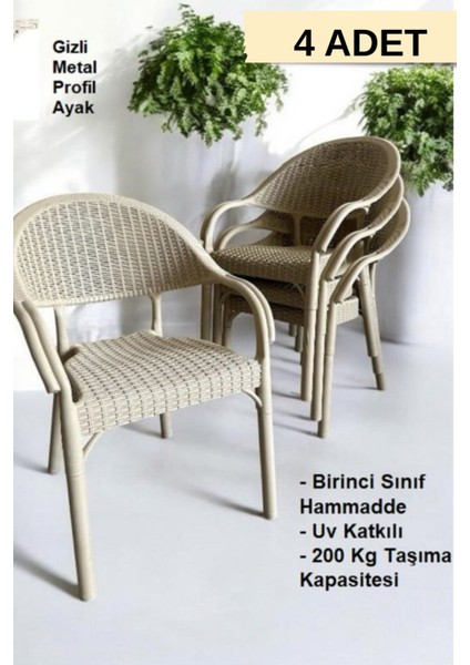 Bambu Rattan Kollu Sandalye Koltuk 4'lü Set