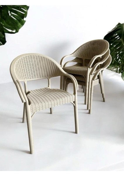 Bambu Rattan Kollu Sandalye Koltuk 4'lü Set
